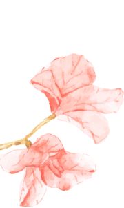 多彩活动迎接母亲节新河街社区开展丰富(图3)